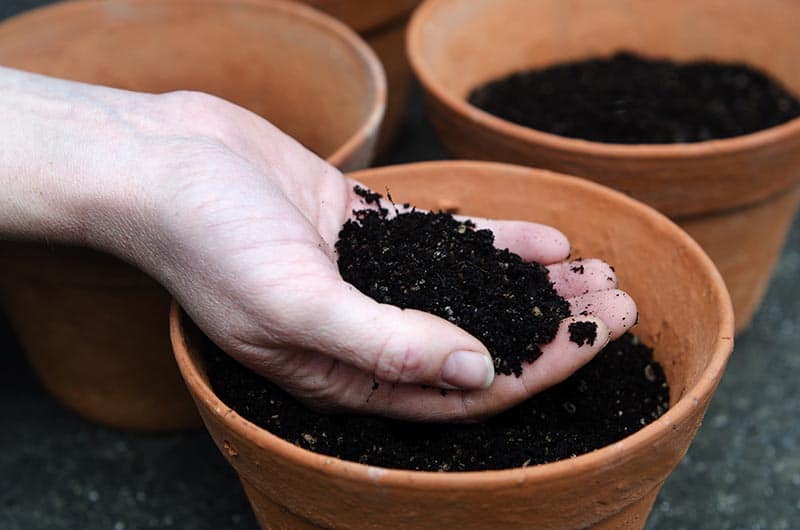 Create a vegetable garden by finding the best soil to grow the plants.