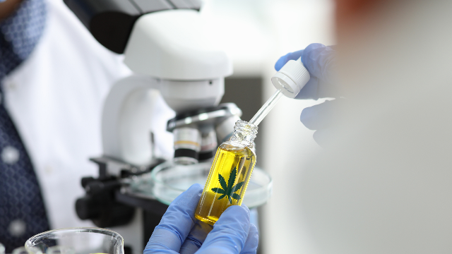 Many common health conditions can be eased with CBD oil, according to research studies